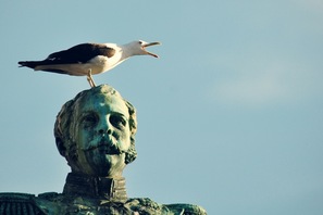 Stratocoach - Bild zu Blogartikel - 3 Gründe, warum jetzt der beste Zeitpunkt ist, Unternehmer zu sein.  